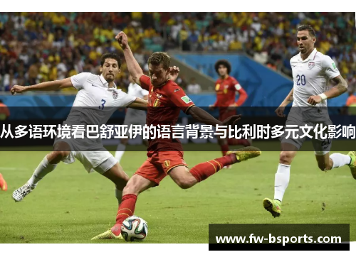 从多语环境看巴舒亚伊的语言背景与比利时多元文化影响