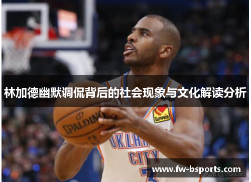 林加德幽默调侃背后的社会现象与文化解读分析