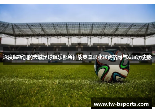 深度解析加的夫城足球俱乐部所征战英国职业联赛格局与发展历史脉 深度解析加的夫城足球俱乐部所征战英国职业联赛格局与发展历史脉