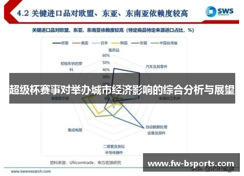 超级杯赛事对举办城市经济影响的综合分析与展望