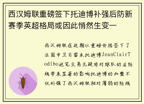 西汉姆联重磅签下托迪博补强后防新赛季英超格局或因此悄然生变一 西汉姆联重磅签下托迪博补强后防新赛季英超格局或因此悄然生变一
